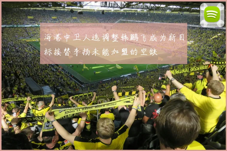 海港中卫人选调整韩鹏飞成为新目标接替李扬未能加盟的空缺